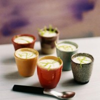 3 O Degorce Publié dans Je Sais Cuisiner le Soja, ed Terres Vivantes